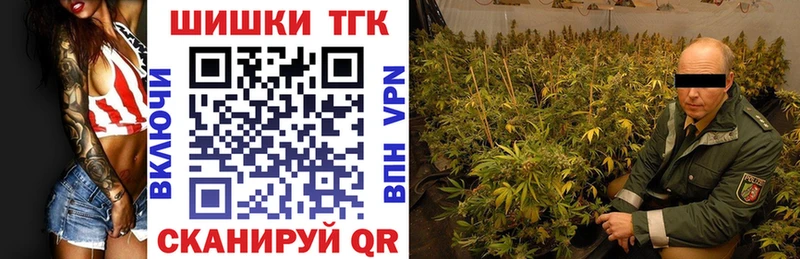 Конопля семена купить наркотик Новоалтайск